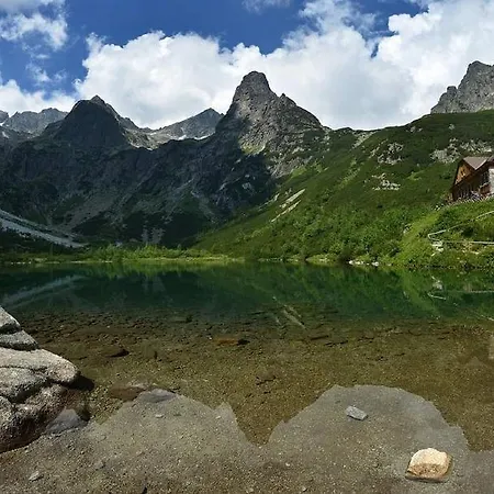 Palusak