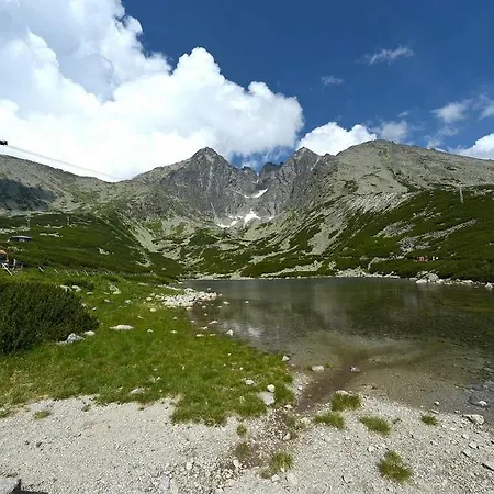 Palusak Stará Lesná